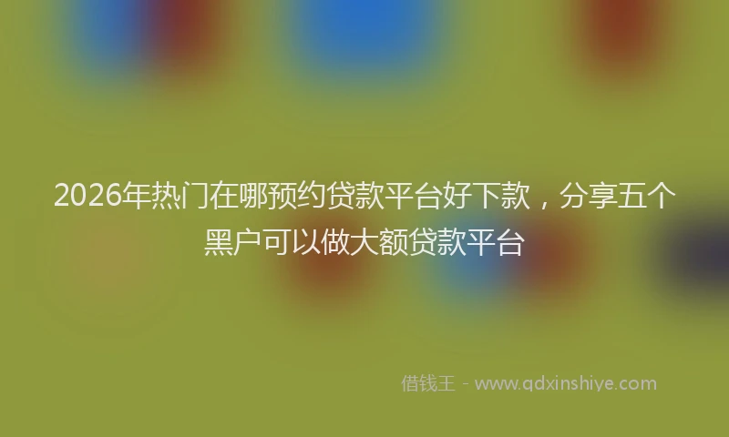 2026年热门在哪预约贷款平台好下款，分享五个黑户可以做大额贷款平台