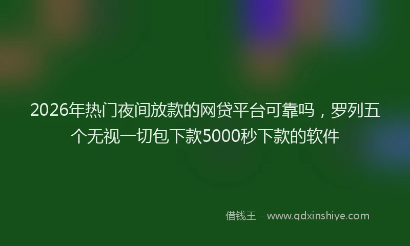 2026年热门夜间放款的网贷平台可靠吗，罗列五个无视一切包下款5000秒下款的软件