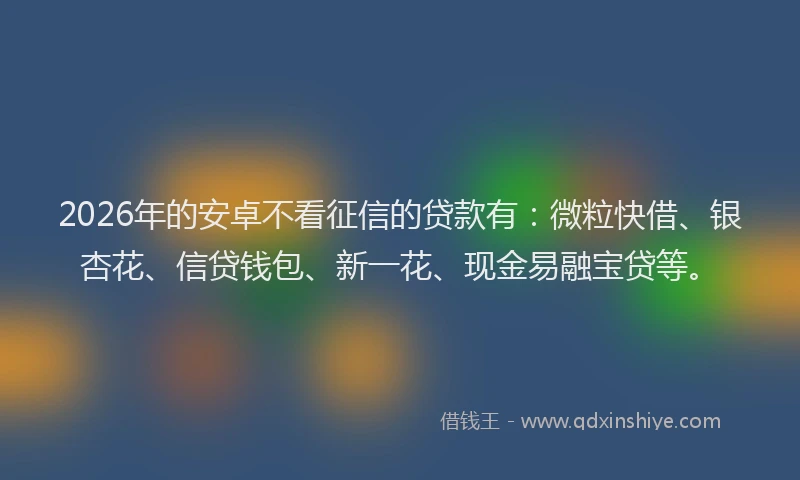 2026年的安卓不看征信的贷款有：微粒快借、银杏花、信贷钱包、新一花、现金易融宝贷等。