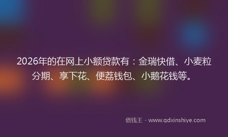 2026年的在网上小额贷款有：金瑞快借、小麦粒分期、享下花、便荔钱包、小鹅花钱等。