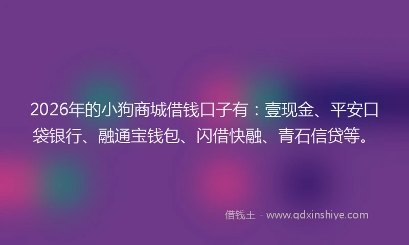 2026年的小狗商城借钱口子有：壹现金、平安口袋银行、融通宝钱包、闪借快融、青石信贷等。