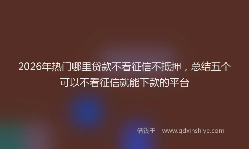 2026年热门哪里贷款不看征信不抵押，总结五个可以不看征信就能下款的平台