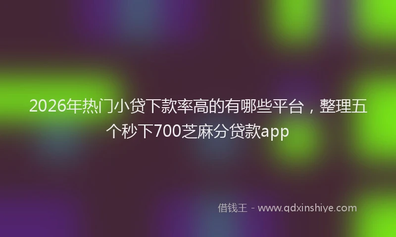 2026年热门小贷下款率高的有哪些平台，整理五个秒下700芝麻分贷款app