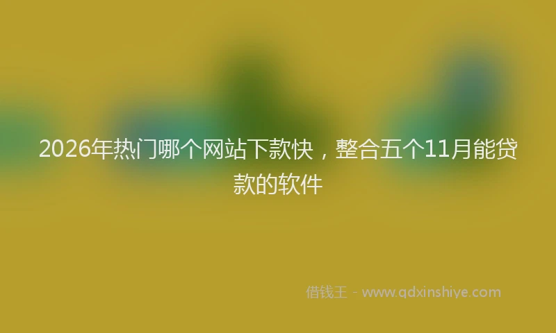 2026年热门哪个网站下款快，整合五个11月能贷款的软件