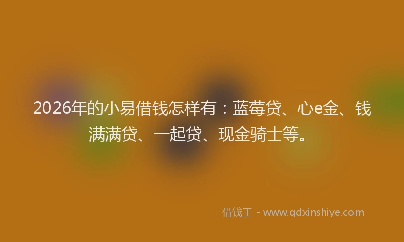 2026年的小易借钱怎样有：蓝莓贷、心e金、钱满满贷、一起贷、现金骑士等。