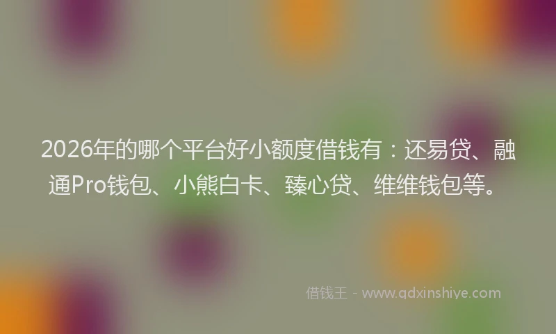 2026年的哪个平台好小额度借钱有：还易贷、融通Pro钱包、小熊白卡、臻心贷、维维钱包等。