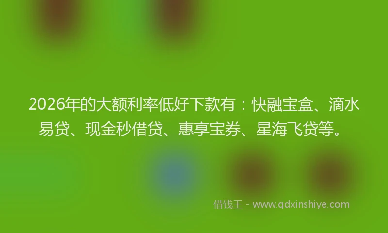 2026年的大额利率低好下款有：快融宝盒、滴水易贷、现金秒借贷、惠享宝券、星海飞贷等。