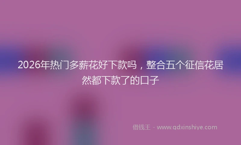2026年热门多薪花好下款吗，整合五个征信花居然都下款了的口子