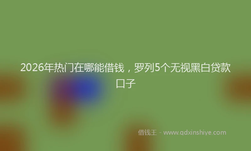 2026年热门在哪能借钱，罗列5个无视黑白贷款口子