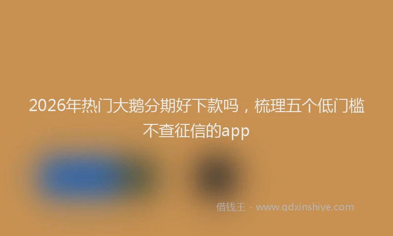 2026年热门大鹅分期好下款吗，梳理五个低门槛不查征信的app