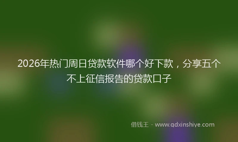 2026年热门周日贷款软件哪个好下款，分享五个不上征信报告的贷款口子