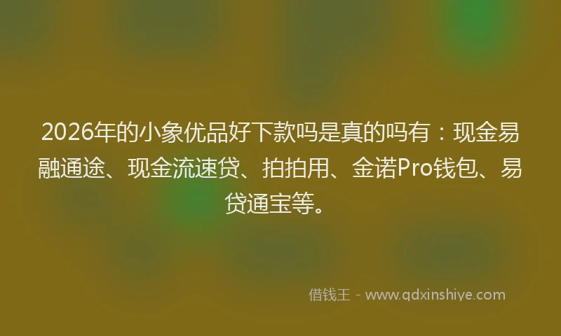 2026年的小象优品好下款吗是真的吗有：现金易融通途、现金流速贷、拍拍用、金诺Pro钱包、易贷通宝等。