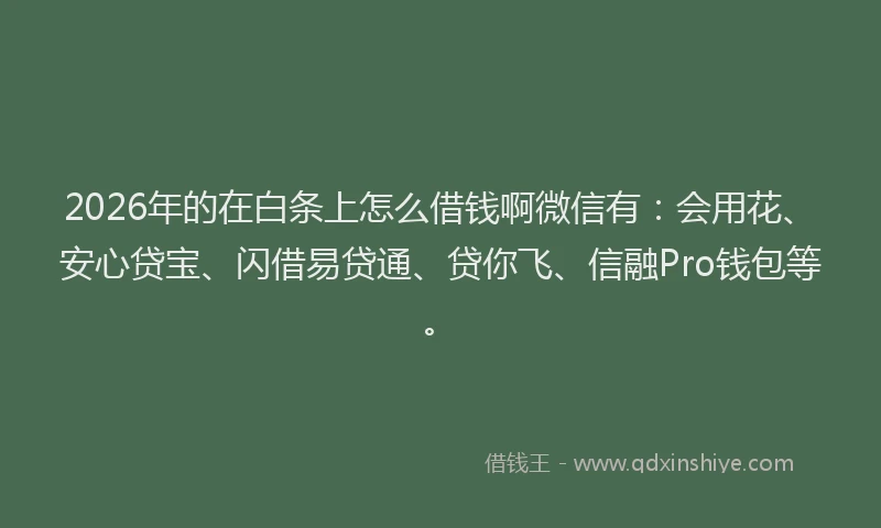 2026年的在白条上怎么借钱啊微信有：会用花、安心贷宝、闪借易贷通、贷你飞、信融Pro钱包等。