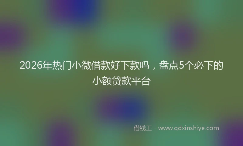 2026年热门小微借款好下款吗，盘点5个必下的小额贷款平台
