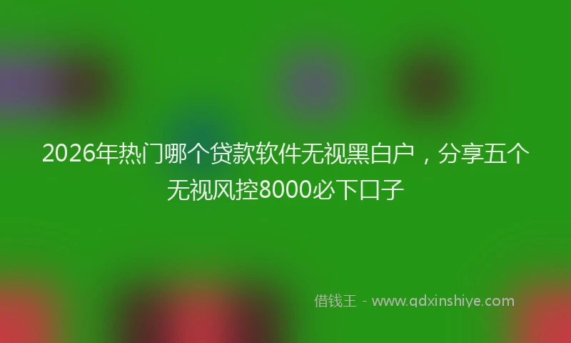 2026年热门哪个贷款软件无视黑白户，分享五个无视风控8000必下口子