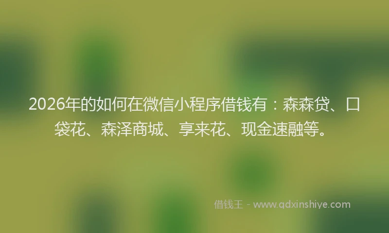 2026年的如何在微信小程序借钱有：森森贷、口袋花、森泽商城、享来花、现金速融等。