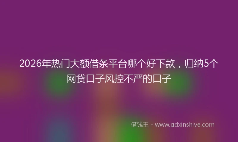 2026年热门大额借条平台哪个好下款，归纳5个网贷口子风控不严的口子