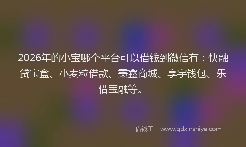 2026年的小宝哪个平台可以借钱到微信有：快融贷宝盒、小麦粒借款、秉鑫商城、享宇钱包、乐借宝融等。