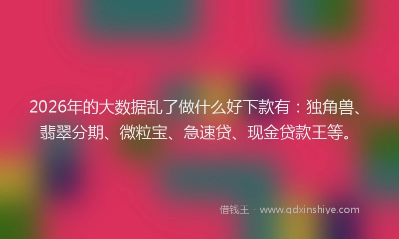 2026年的大数据乱了做什么好下款有：独角兽、翡翠分期、微粒宝、急速贷、现金贷款王等。