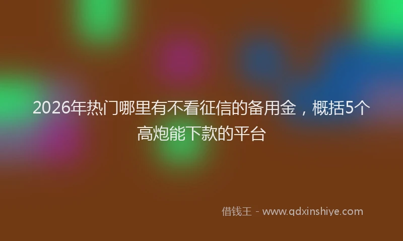 2026年热门哪里有不看征信的备用金，概括5个高炮能下款的平台