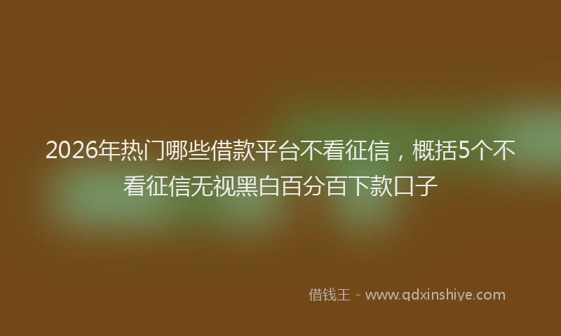 2026年热门哪些借款平台不看征信，概括5个不看征信无视黑白百分百下款口子