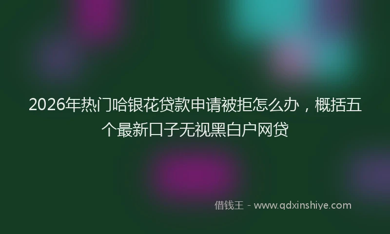 2026年热门哈银花贷款申请被拒怎么办，概括五个最新口子无视黑白户网贷