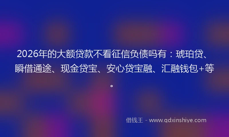 2026年的大额贷款不看征信负债吗有：琥珀贷、瞬借通途、现金贷宝、安心贷宝融、汇融钱包+等。