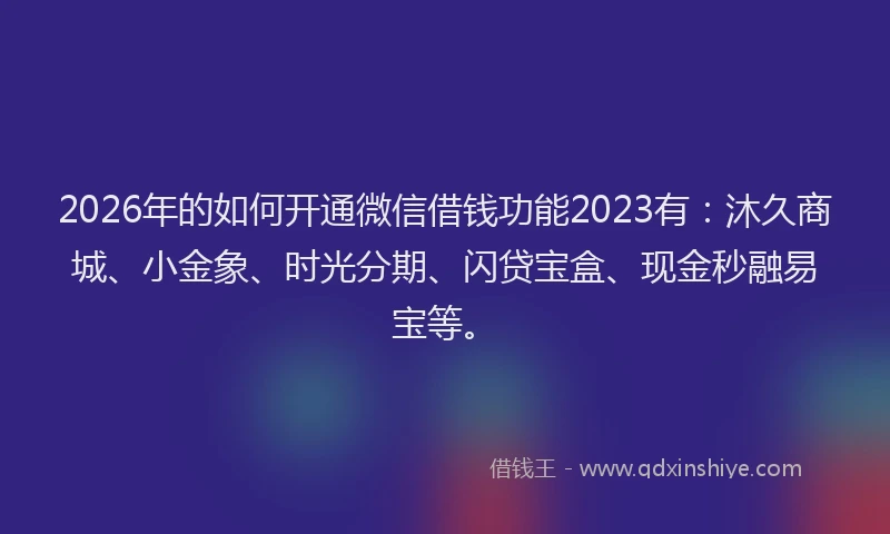 2026年的如何开通微信借钱功能2023有:沐久商城、小金象、时光分期、闪贷宝盒、现金秒融易宝等。