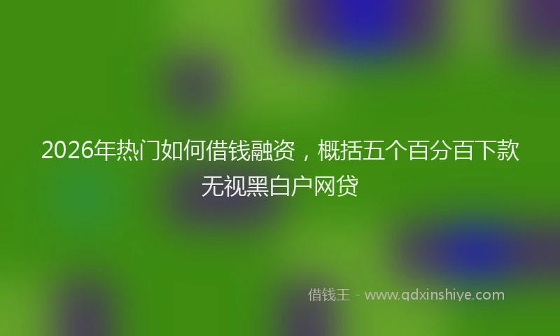 2026年热门如何借钱融资，概括五个百分百下款无视黑白户网贷