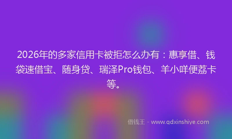 2026年的多家信用卡被拒怎么办有：惠享借、钱袋速借宝、随身贷、瑞泽Pro钱包、羊小咩便荔卡等。