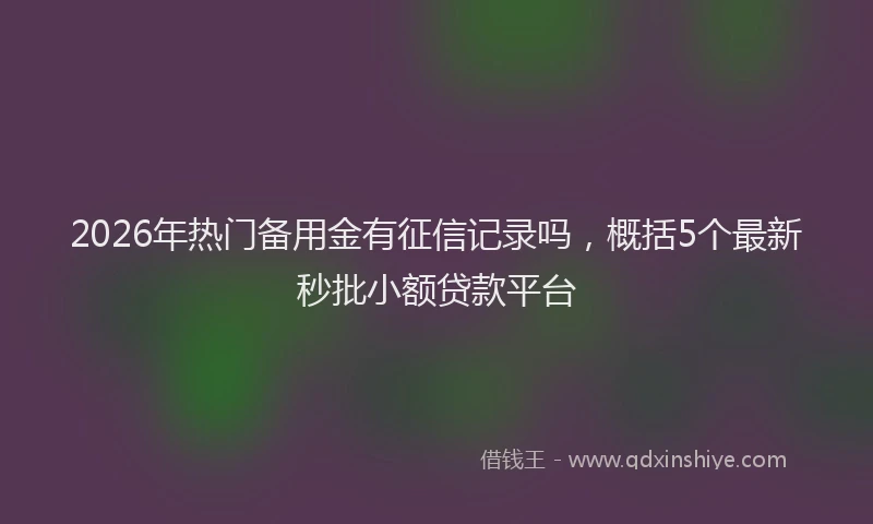 2026年热门备用金有征信记录吗，概括5个最新秒批小额贷款平台