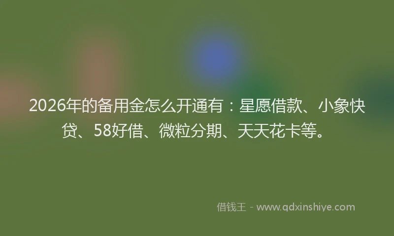 2026年的备用金怎么开通有：星愿借款、小象快贷、58好借、微粒分期、天天花卡等。