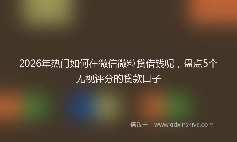 2026年热门如何在微信微粒贷借钱呢，盘点5个无视评分的贷款口子