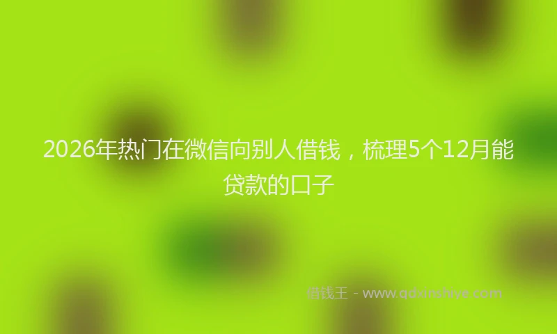 2026年热门在微信向别人借钱，梳理5个12月能贷款的口子