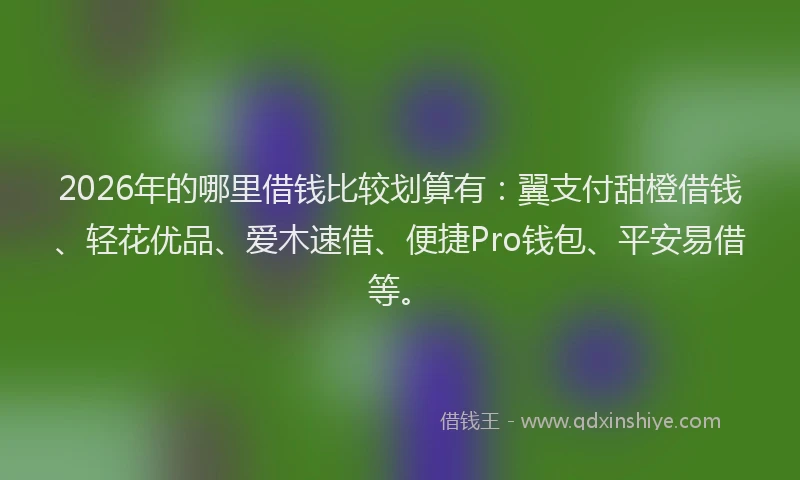 2026年的哪里借钱比较划算有：翼支付甜橙借钱、轻花优品、爱木速借、便捷Pro钱包、平安易借等。