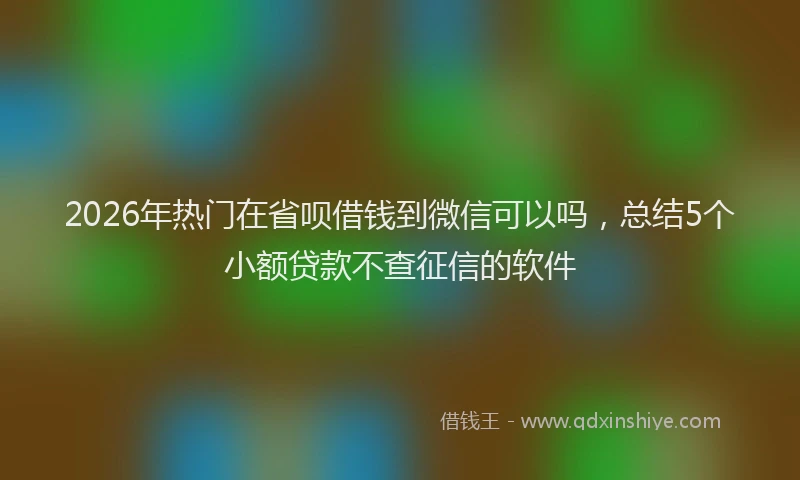 2026年热门在省呗借钱到微信可以吗，总结5个小额贷款不查征信的软件
