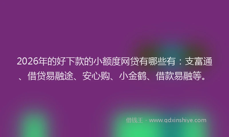 2026年的好下款的小额度网贷有哪些有：支富通、借贷易融途、安心购、小金鹤、借款易融等。
