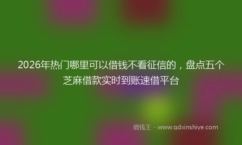 2026年热门哪里可以借钱不看征信的，盘点五个芝麻借款实时到账速借平台