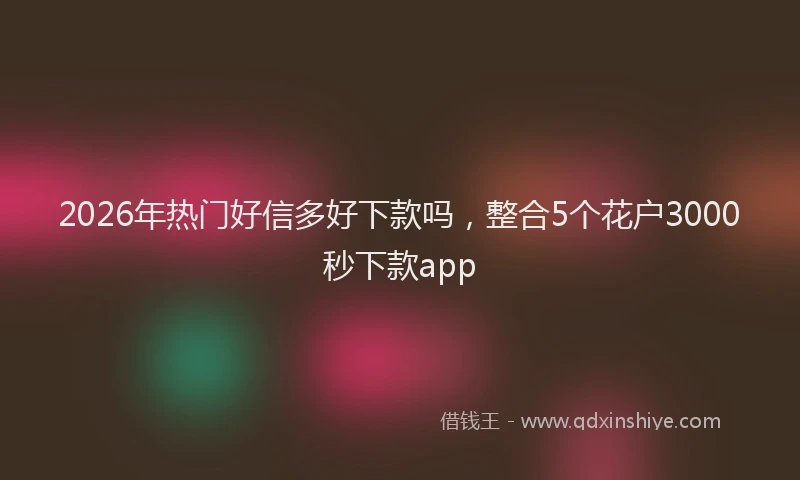 2026年热门好信多好下款吗，整合5个花户3000秒下款app