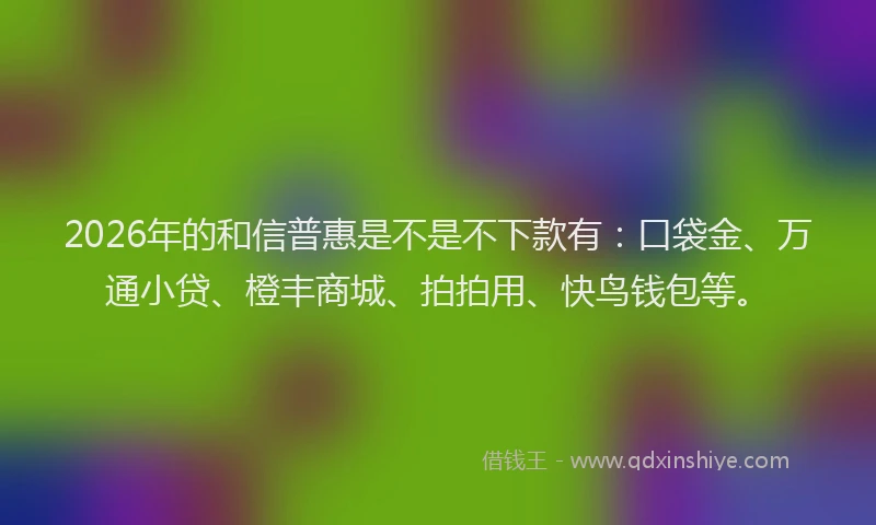 2026年的和信普惠是不是不下款有：口袋金、万通小贷、橙丰商城、拍拍用、快鸟钱包等。