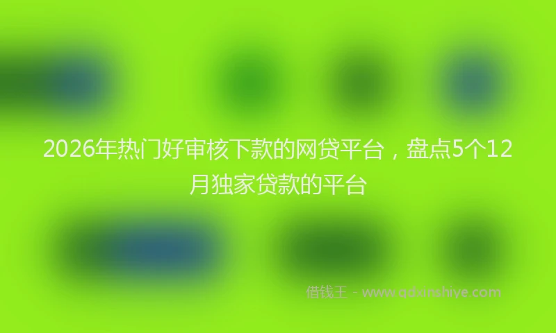 2026年热门好审核下款的网贷平台，盘点5个12月独家贷款的平台