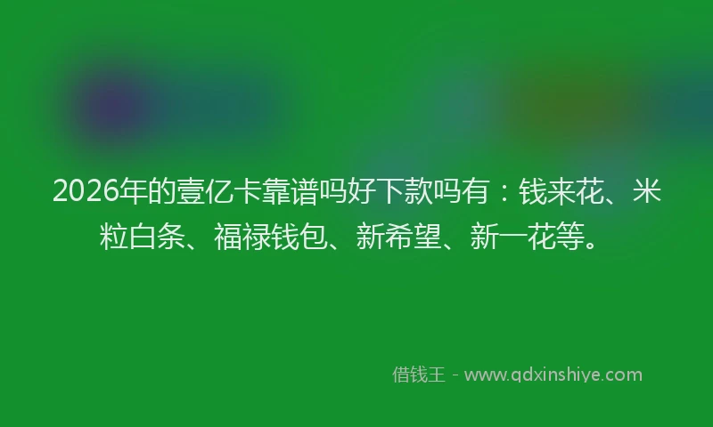 2026年的壹亿卡靠谱吗好下款吗有：钱来花、米粒白条、福禄钱包、新希望、新一花等。