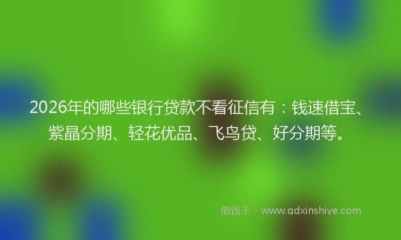 2026年的哪些银行贷款不看征信有：钱速借宝、紫晶分期、轻花优品、飞鸟贷、好分期等。