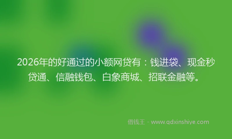 2026年的好通过的小额网贷有：钱进袋、现金秒贷通、信融钱包、白象商城、招联金融等。