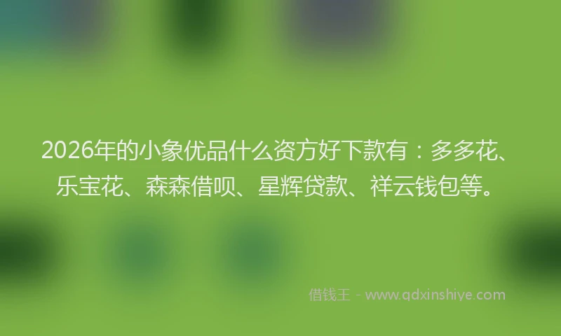 2026年的小象优品什么资方好下款有：多多花、乐宝花、森森借呗、星辉贷款、祥云钱包等。