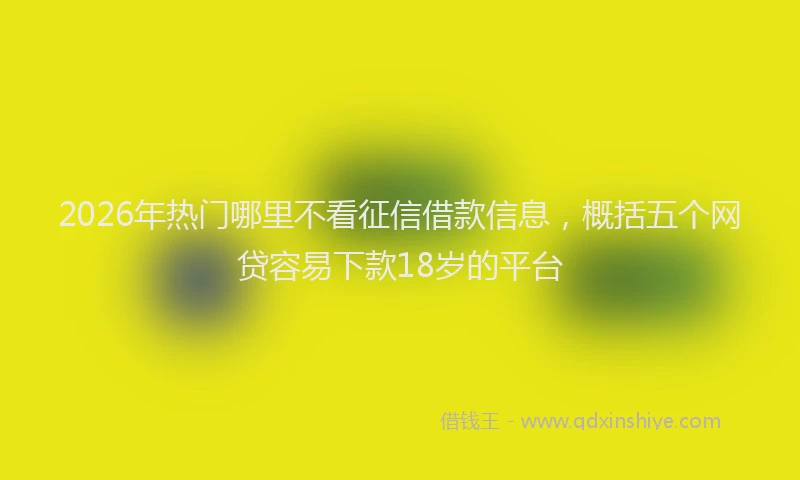 2026年热门哪里不看征信借款信息，概括五个网贷容易下款18岁的平台