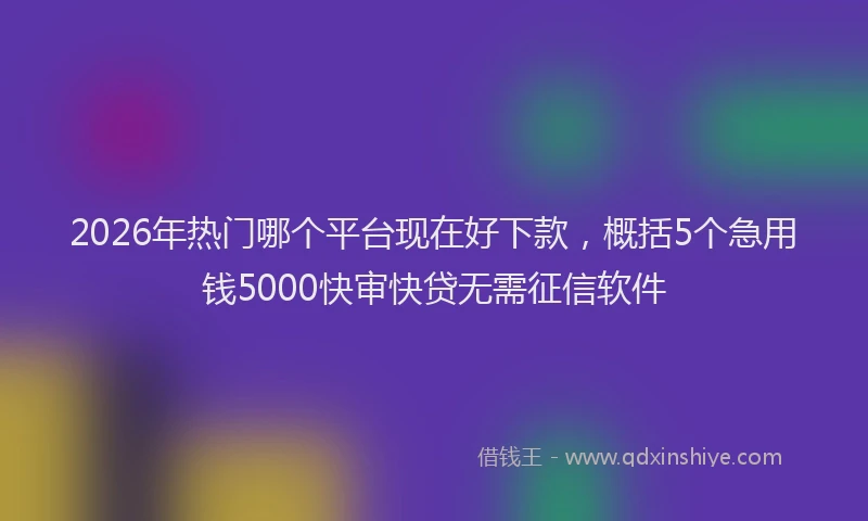 2026年热门哪个平台现在好下款，概括5个急用钱5000快审快贷无需征信软件