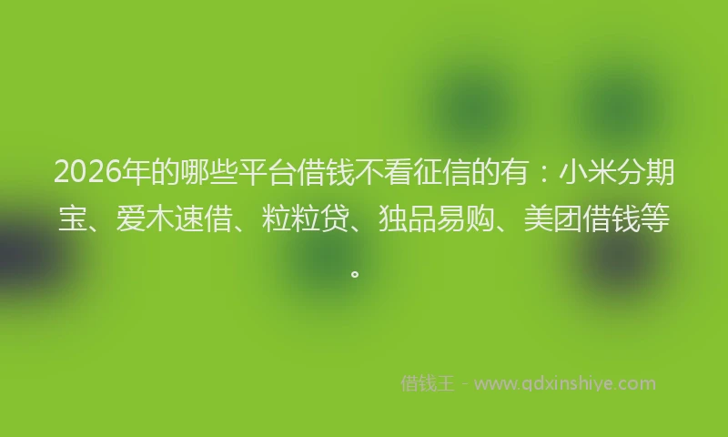 2026年的哪些平台借钱不看征信的有：小米分期宝、爱木速借、粒粒贷、独品易购、美团借钱等。