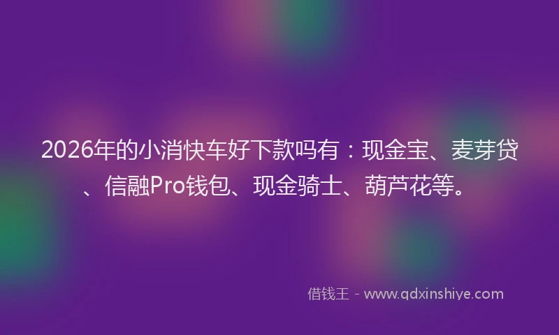 2026年的小消快车好下款吗有：现金宝、麦芽贷、信融Pro钱包、现金骑士、葫芦花等。