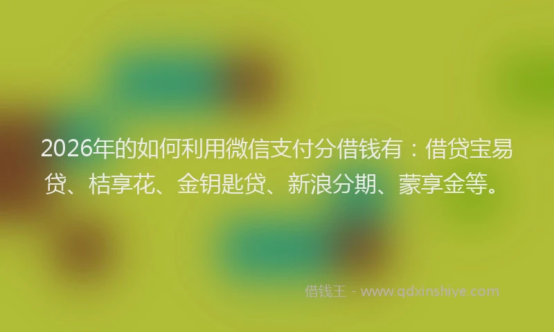 2026年的如何利用微信支付分借钱有：借贷宝易贷、桔享花、金钥匙贷、新浪分期、蒙享金等。